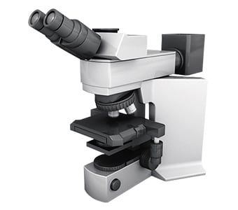 현미경을 이용한 표면적 측정 과제