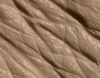 피부결(피부 레플리카)의 멀티 라이팅 화상